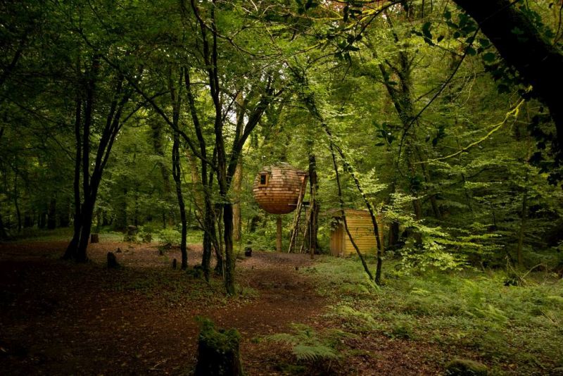 Lost Meadow Treepod You can rent this hanging treehouse pod for $128 per night 