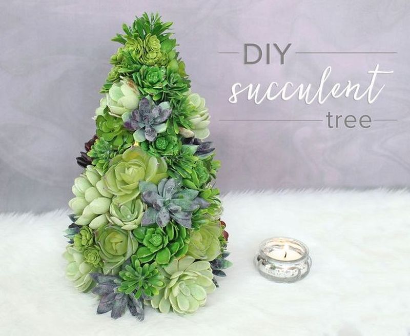 Succulent Christmas tree