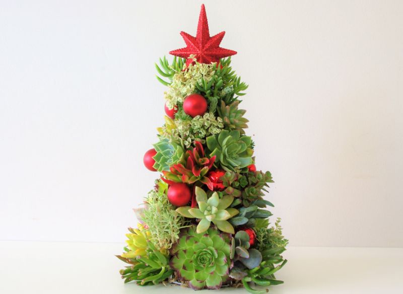 Succulent Christmas tree with ornaments 