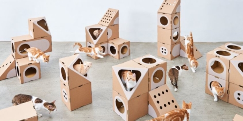 Modular Cat house Cat furniture