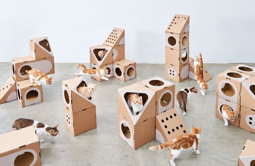 Diy cardboard outlet cat furniture