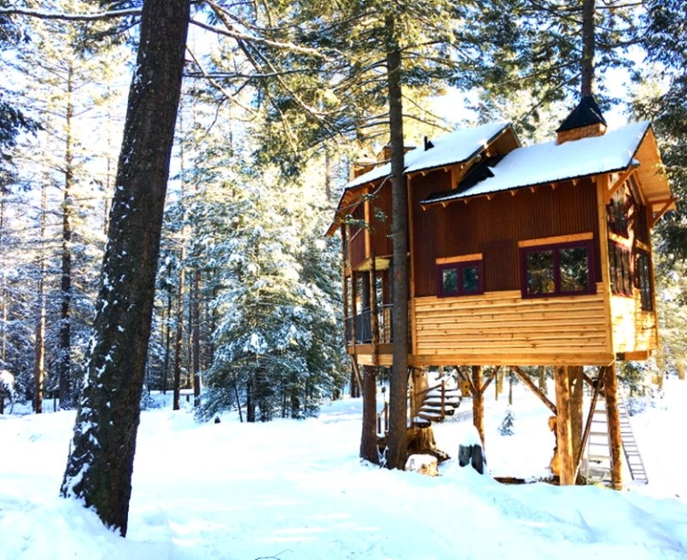 You can Book this Treehouse hotel in Montana on Airbnb