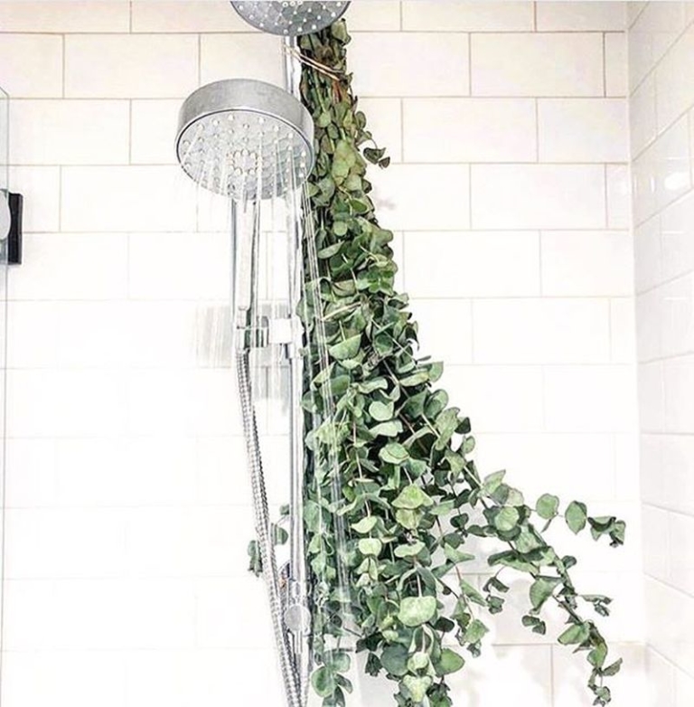 What is Eucalyptus Shower & Why is it a Popular Instagram Trend