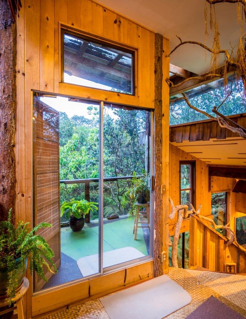 You can Rent Volcano Treehouse in Hawaii for 350 (Pictures)