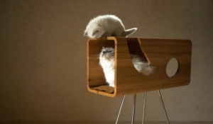 Cat60 Wood Cat Bed by Brando Design