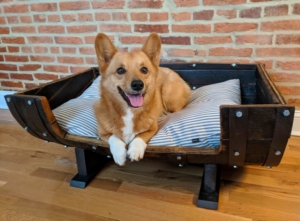 DIY Old Whiskey Barrel into Comfy Dog Bed