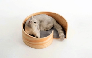 Pidan Sea Snail Cat Bed - Pet Furniture