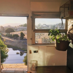 A Family of Six Travels Full-Time in Their Converted Bus Home