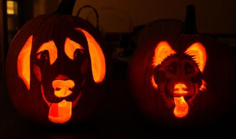 Easy dog lantern pumpkin carving for Halloween