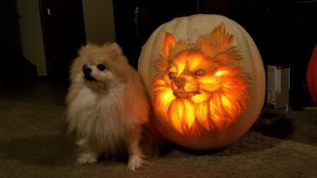How To Carve a Dog-o'-Lantern