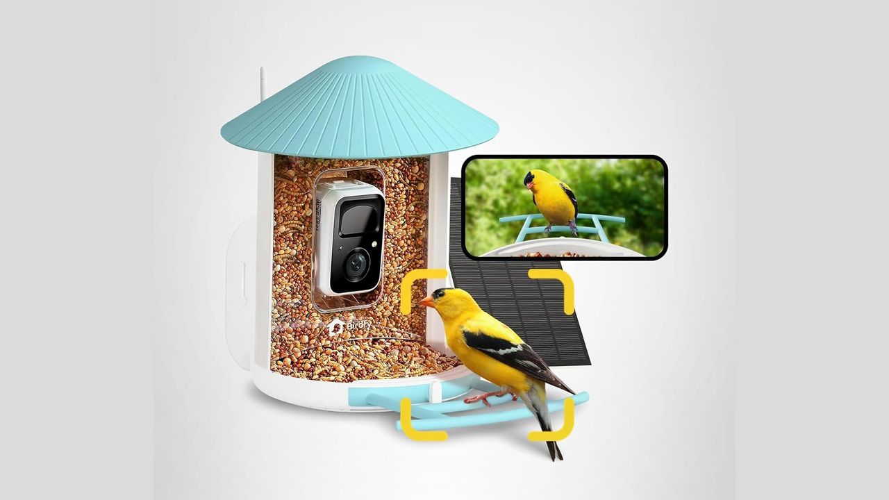 Best Christmas Gifts for Dad - NETVUE by Birdfy Smart Bird Feeder With Camera