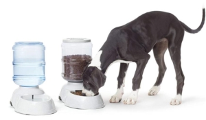 Gravity Pet Feeder and Waterer