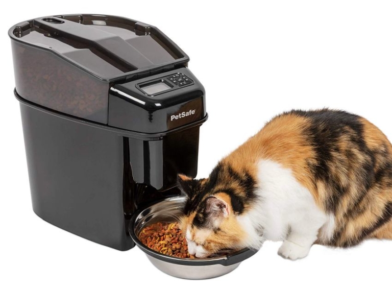 PetSafe Automatic Cat Feeder Delivers Timely Meals