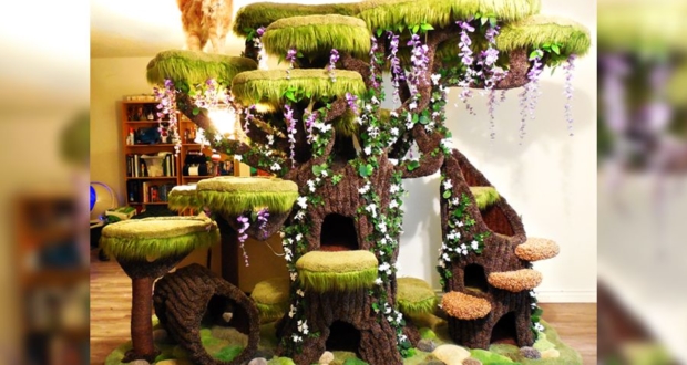 cool cat trees