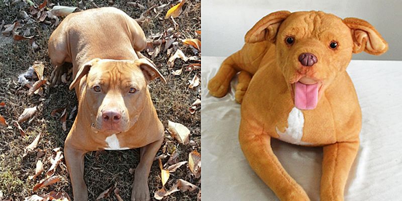 stuffed animal replicas of your pets