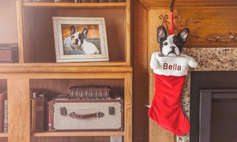 stuffed animal replicas of your pets