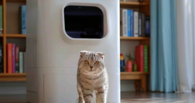 LavvieBot Cat Litter Box