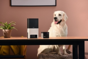 Petcube Bites 2 and Petcube Play 2 interactive pet cameras