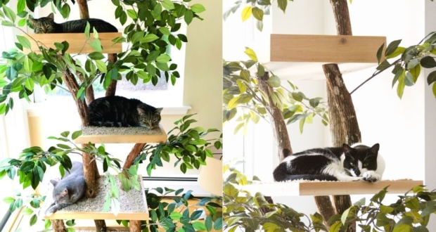 realistic looking cat tree