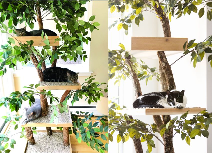 Diy wooden outlet cat tree