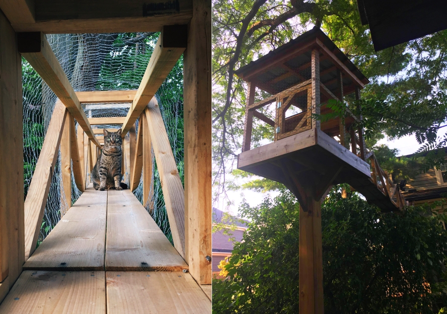 Pet Lover Builds Sprawling Outdoor Cat Tree House in his Backyard