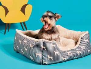 Aldi pet products collection