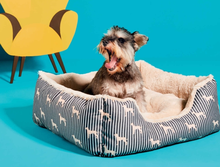 Aldi UK Launches New Range of Pet Specialbuys