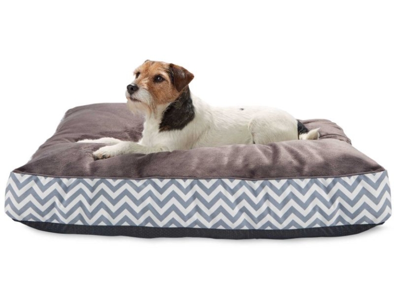 Aldi UK Launches New Range of Pet Specialbuys