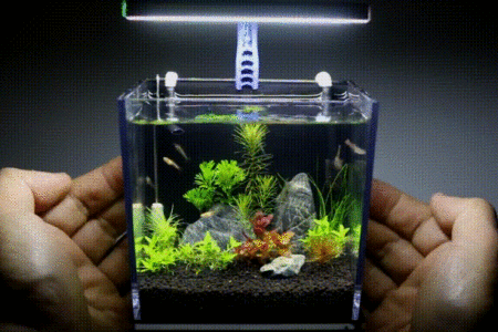 mini aquarium light