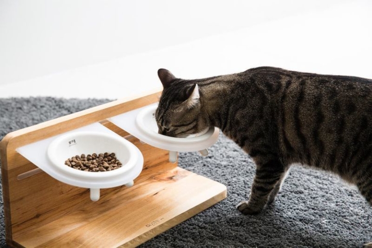 Height-adjustable Taberu Cat Dining Station By Tuft + Paw