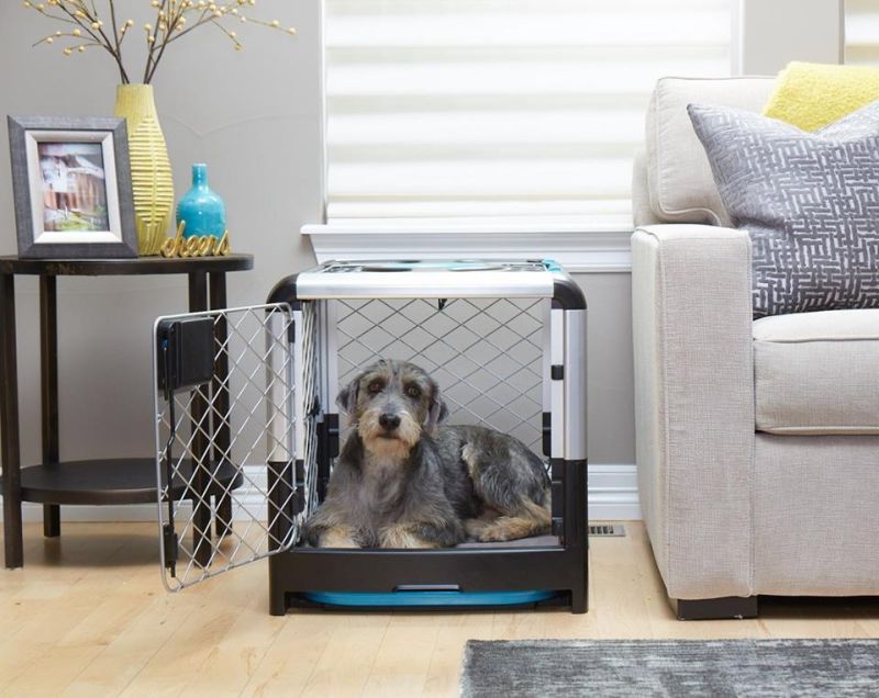 Diggs' Revol Dog Crate Folds Flat for Easy Storage and Transportation