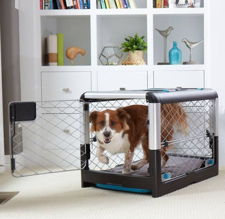Diggs' Revol Dog Crate Folds Flat for Easy Storage and Transportation