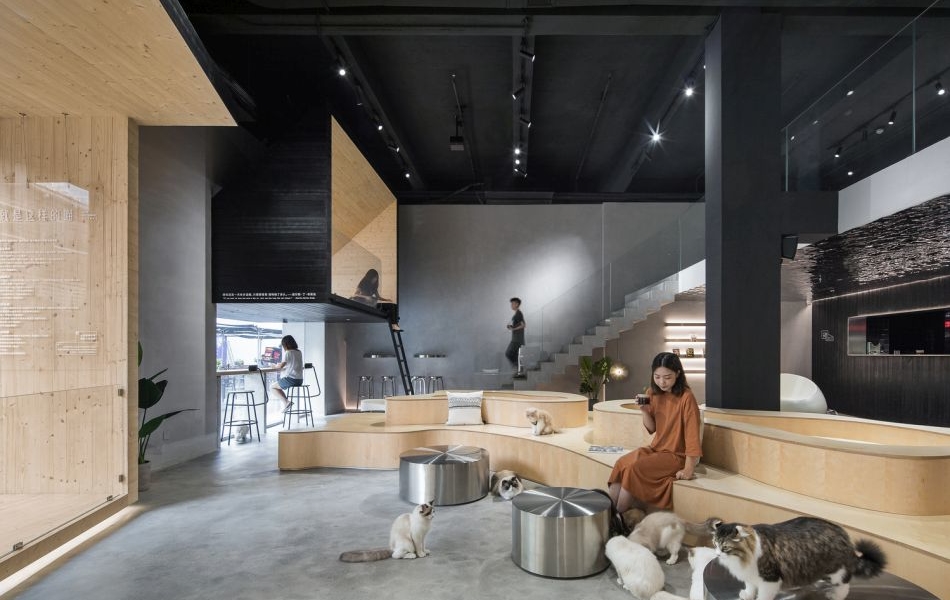 Chinese Meow Café is Equally to Humans and Cats