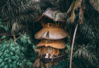 Eco-Friendly Aura House in Lush Green Balinese Forest is Available for Rent on Airbnb