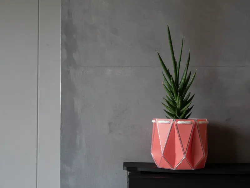 POTR Pot Transforms Ordinary Planter into Self-Watering Pot