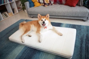 Airweave Dog Bed is Made from the Same Material its Mattresses Are