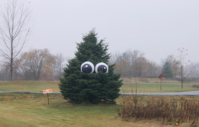 spooky eyes on a small tree for Halloween 