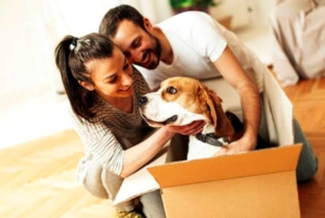 Tips to moving with pets