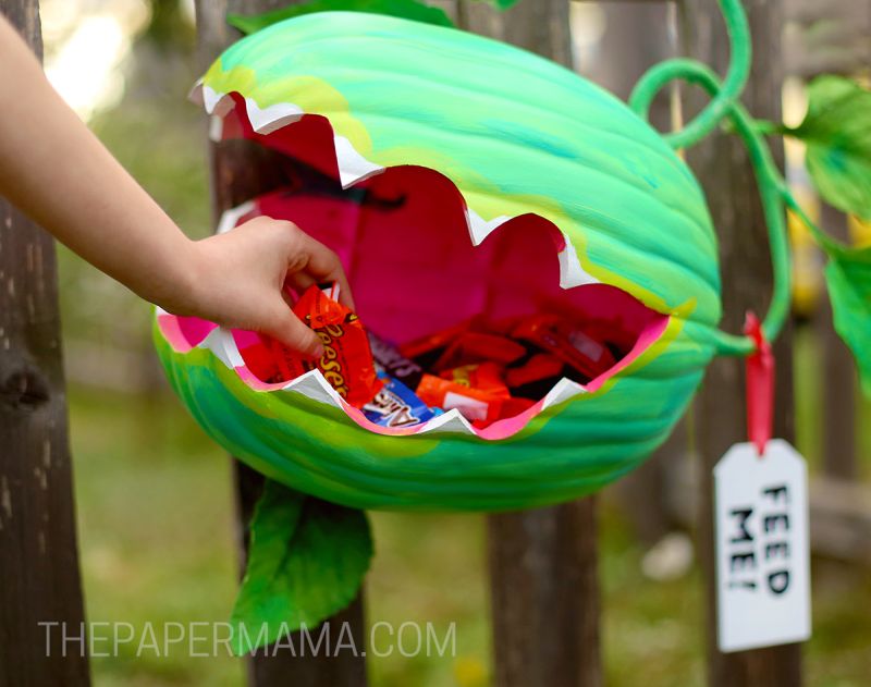 Candies placed in Venus Fly Trap Pumpkin