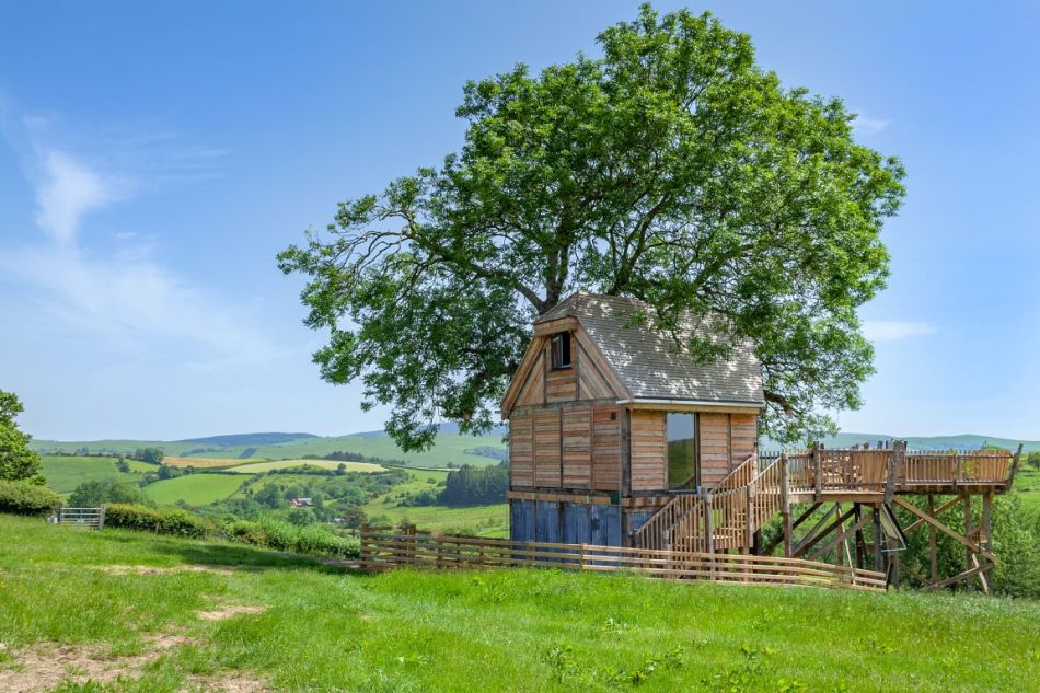 Cadwollen’s Treehouse on Working Farm in UK is Perfect for Couples