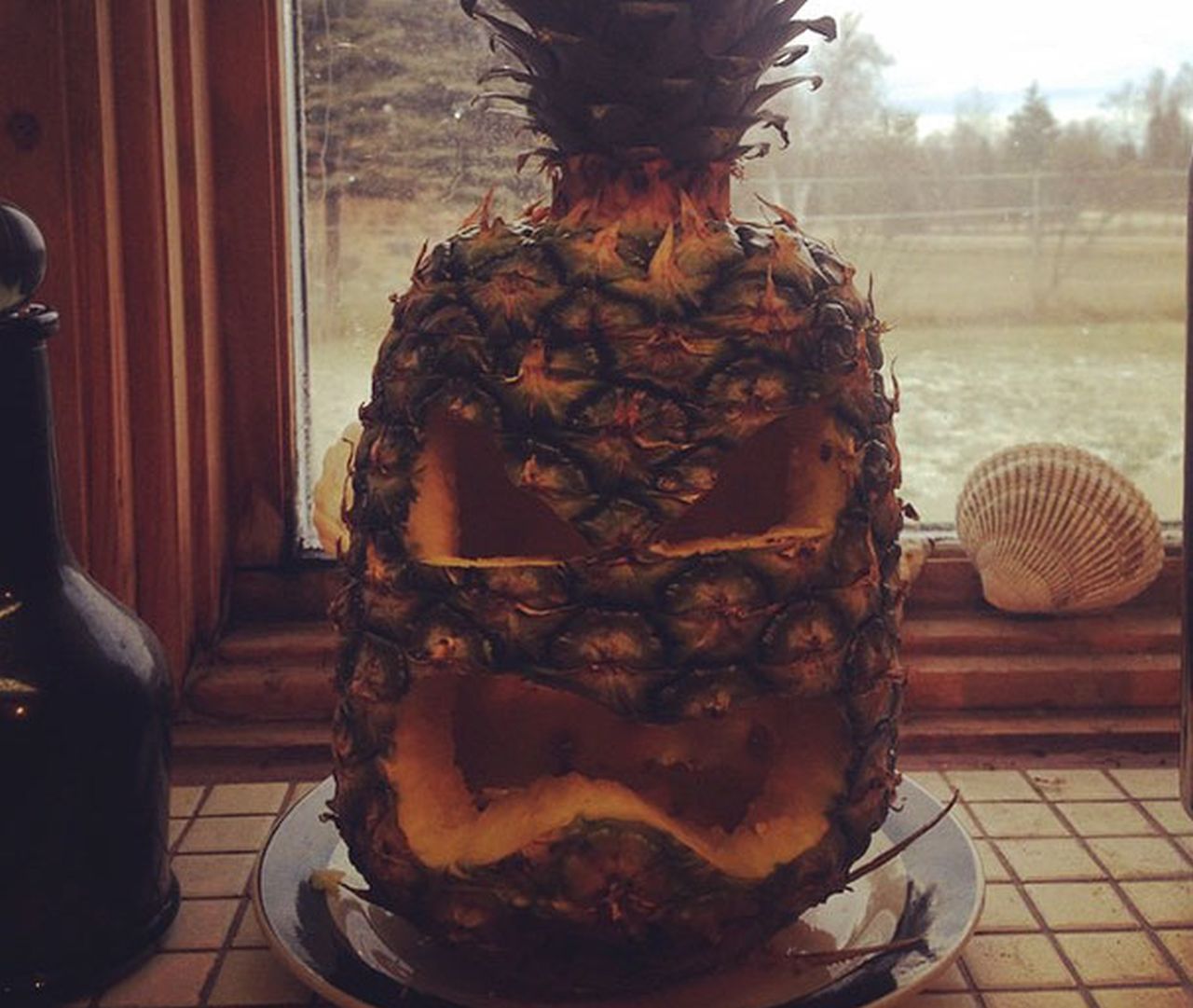 Disgusted Pineapple