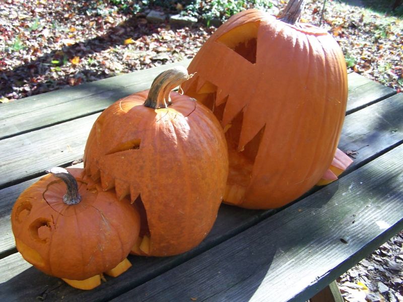 pumpkin eating another pumpkin design 