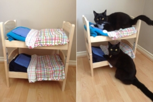 DIYer Transforms DUKTIG Doll Beds into Cat Bunk Bed