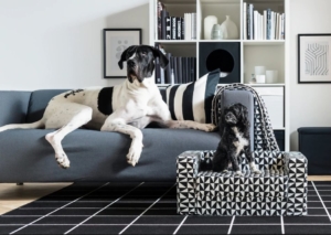 IKEA LURVIG Pet Collection 2019