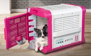 Delta to Launch CarePod Pet Carrier that Improve Air Travel Experience for Pets