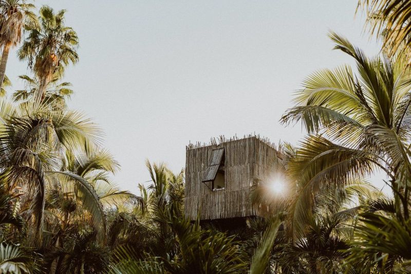 ACRE Treehouse in San José del Cabo, Mexico