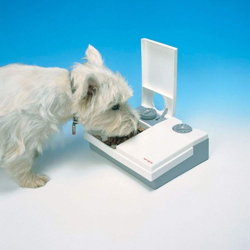 This is Simplest Automatic Pet Feeder You can Buy on Amazon