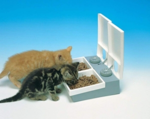 This is Simplest Automatic Pet Feeder You can Buy on Amazon