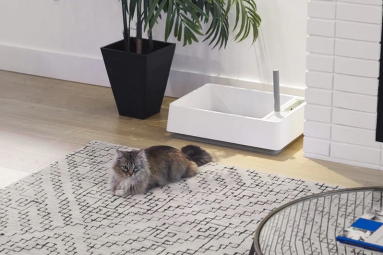 Cove by Tuft + Paw Easy to Clean Cat Litter Box Made of Recycled Plastic