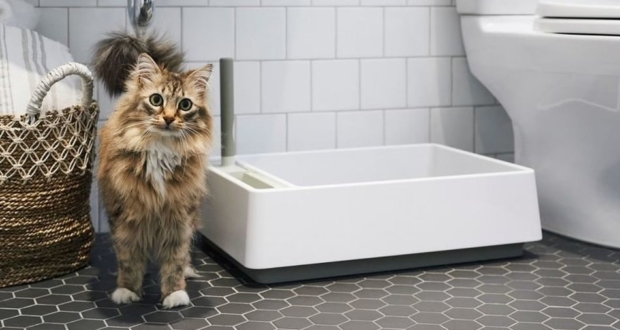 Minimalist Cove Litter Box Beautifully Blends Style and Functionality